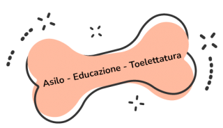 Bauclub Asilo per Cani a Milano - Toelettatura - Educazione del Cane